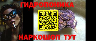 Альфа ПВП Малгобек