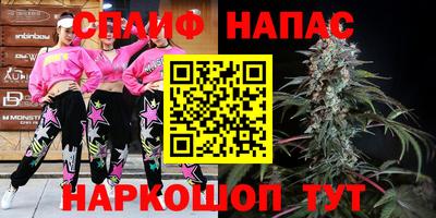 Альфа ПВП Малгобек